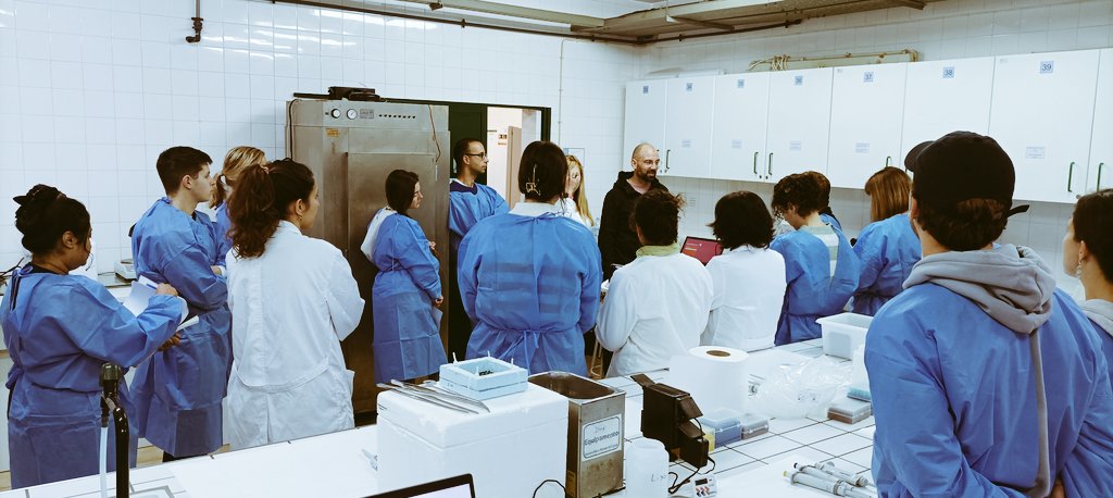 Yesterday, it was the last day of the Workshop on Reproductive biotechnology focused on the BREEDFLAT project. It was an amazing day with practical lessons about sperm quality traits, cryopreservation and immunological status! @lramospinto91 @CienciasDoMar @EEAGrantsPT @CiimarUp