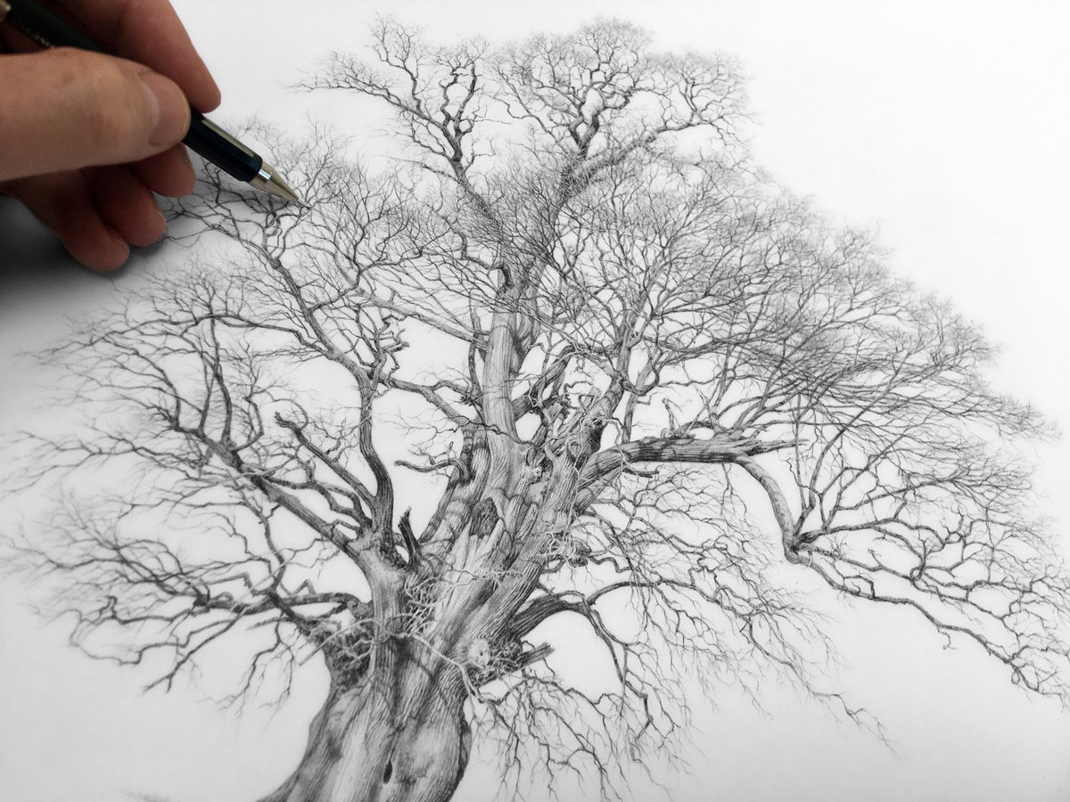 Our Mental Wealth.
In a mood of contemplation I recently listed as many fond memories as I could – ones that raise a smile. I realised that we all own a huge bank of priceless moments, moments we could refer to whenever we need a lift. I keep adding to my account. I keep saving✍️