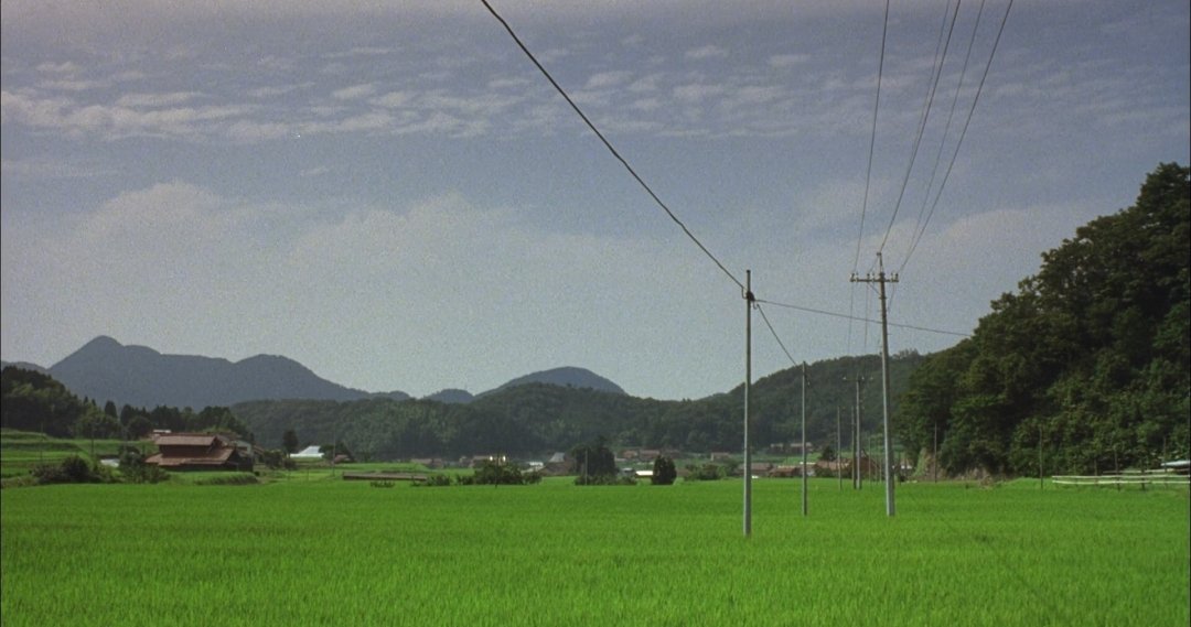 blvescenery's tweet photo. A Gentle Breeze in the Village (2007) https://t.co/kIATr56Sgq