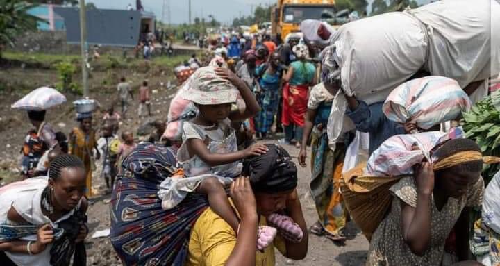 Congo is bleeding  🩸 
Congo is bleeding 🩸 

Congo is bleeding  🩸 
Congo is bleeding 🩸 

Congo is bleeding  🩸 
Congo is bleeding 🩸 

WAR IN THE EAST OF CONGO: 

Thousands Flee Goma Surrounding Areas As Tensions Rises

Tension is rising in eastern Democratic Republic of Congo