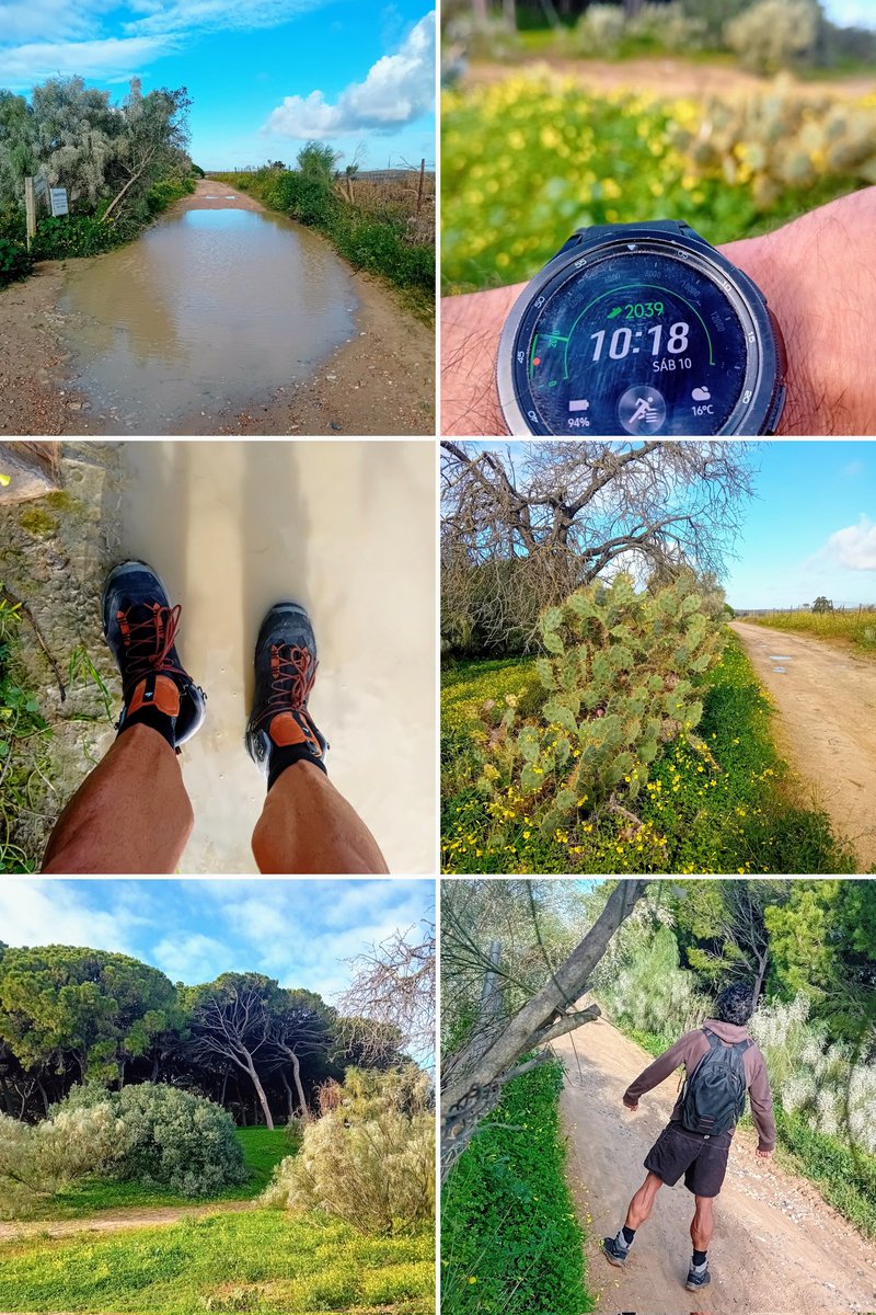 NOgymNOlimits's tweet photo. En RUTA hoy.
Hay zonas con charcos que cubren todo, por las que es complicado pasar, porque ayer llovió bastante.

El viento ha dispersado las nubes y el sol 🌞 ha aparecido de nuevo.

La mochila como fiel compañera. https://t.co/5YrKJ5rpCo