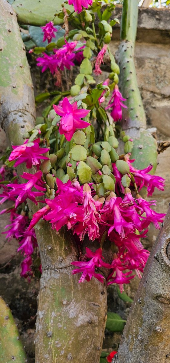 Shine wherever you are!
#adaptibility