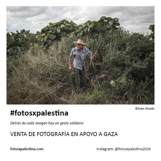 Esta es la imagen que el fotógrafo Joan Alvado
ha donado para recaudar fondos para Palestina y ayudar con la labor de <a href="/MSF_Espana/">Médicos Sin Fronteras</a>

⏰El 27 de febrero termina el plazo.
🔴Aprovecha la oportunidad de escoger tu fotografía y 💪 súmate a la causa en fotosxpalestina.com