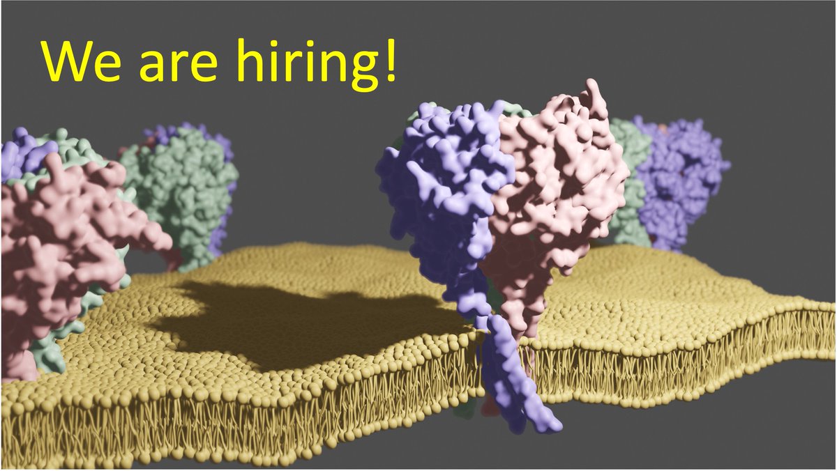 Interested in a PhD in ion channel/transporter research? We are recruiting for the following fully-funded PhD positions @h_bonnrheinsieg: #AcademicTwitter #Science #PhDposition