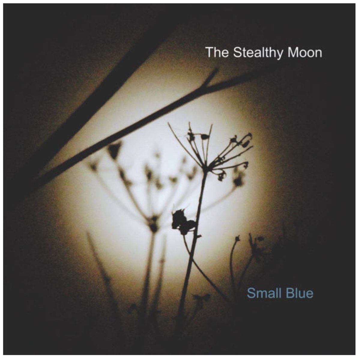 New album out today. The Stealthy Moon by Small Blue. David Beebee piano, Marianne Windham bass, & myself on drums. Twelve of my tunes in an intimate jazz format. Please give it a listen and consider a purchase. martinpyne.bandcamp.com/album/the-stea…