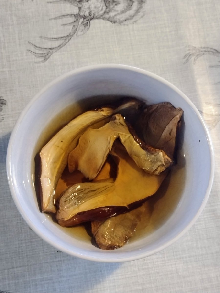 Secret ingredient for winter slow cooker meals. Dried well they will store for years 🤤 #wild #mushrooms #porcini