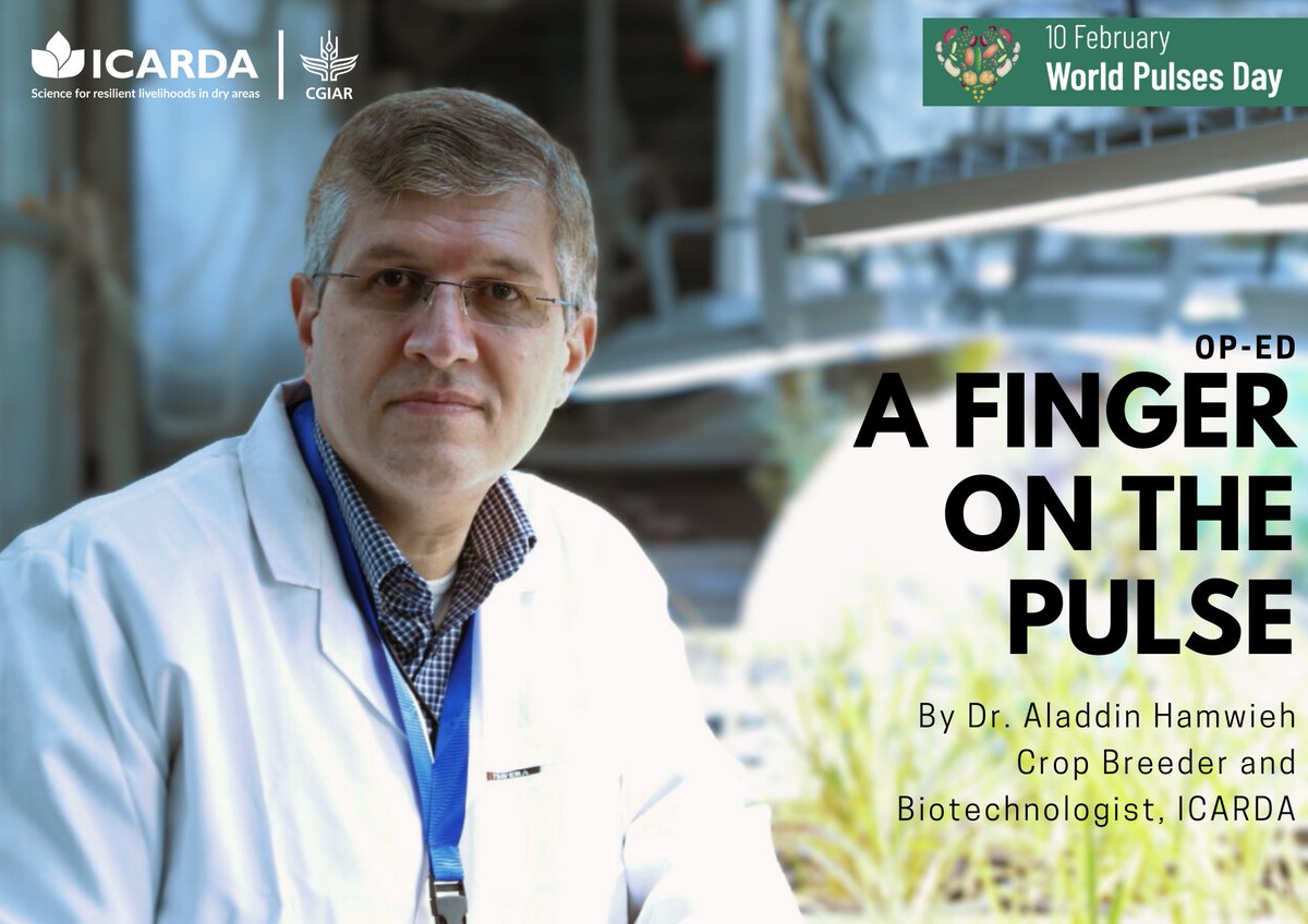 ICARDA (@icarda) on Twitter photo 🫘"Happy World Pulses Day! 🫘
Today, we celebrate the unsung heroes of agriculture – pulses. Join us in recognizing their vital role in sustainable agriculture and global food security.
✍️ Read Now: <a href="/AladdinHamwieh/">Aladdin Hamwieh</a>'s latest Op-ed
#WorldPulsesDay
🔗 icarda.org/media/news/wor… 🫘"Happy World Pulses Day! 🫘
Today, we celebrate the unsung heroes of agriculture – pulses. Join us in recognizing their vital role in sustainable agriculture and global food security.
✍️ Read Now: <a href="/AladdinHamwieh/">Aladdin Hamwieh</a>'s latest Op-ed
#WorldPulsesDay
🔗 icarda.org/media/news/wor…