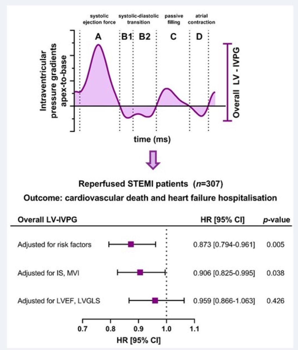 Goodmorning #EHJIMP ☕️ with a brand new manuscript by @RNijveldt and colleagues on #WhyCMR derived intraventricular pressure gradients in STEMI patients ➡️ academic.oup.com/ehjimp/advance… @alessia_gimelli @escardio @ESC_Journals @EACVIPresident @EZancanaroMD @JGrapsa