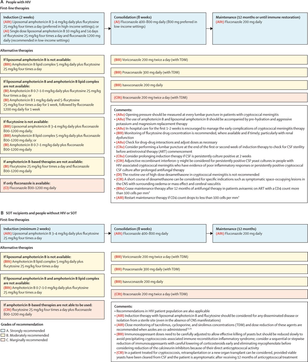 SalmantonGarcia's tweet image. 🆕#Cryptococcal #guidelines are out!

Learn how to diagnose🔬🧫
treat💊💉
and explore alternatives↪️

with 140+ pages packed with insights and visuals! 

thelancet.com/journals/lanin…