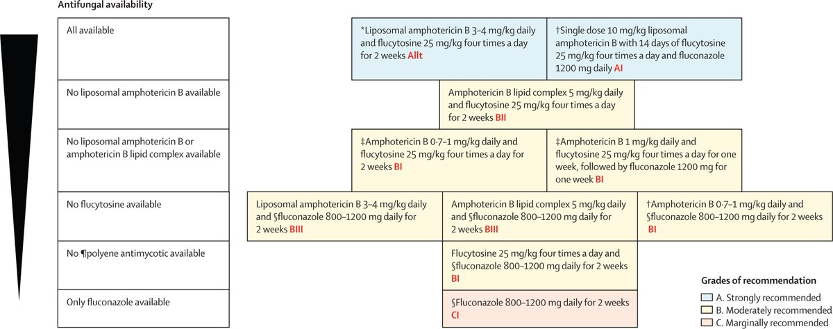 SalmantonGarcia's tweet image. 🆕#Cryptococcal #guidelines are out!

Learn how to diagnose🔬🧫
treat💊💉
and explore alternatives↪️

with 140+ pages packed with insights and visuals! 

thelancet.com/journals/lanin…