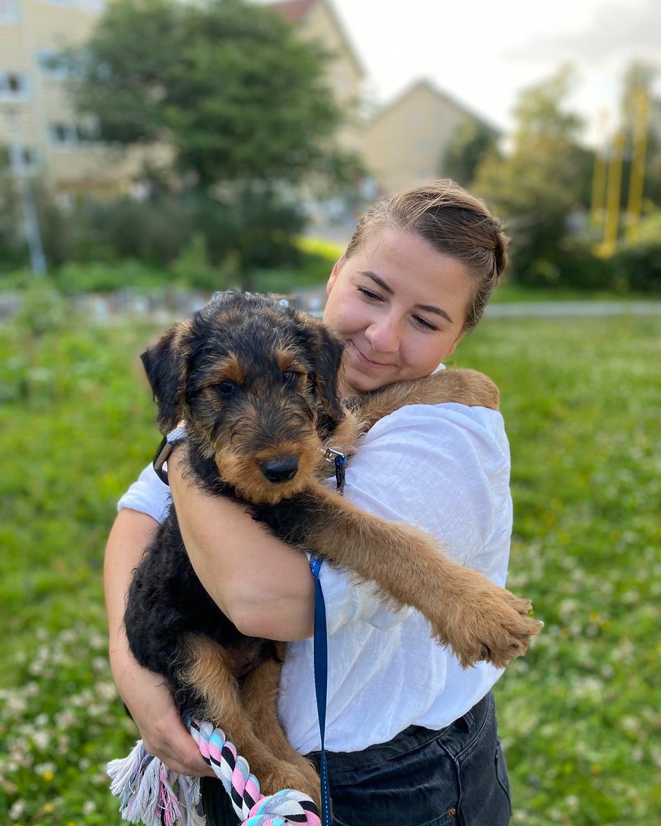 Hi data Twitter! I am new here 😍I am a junior data engineer based in Oslo, Norway 🥶 I love this job and the people I get to meet in my work! 📊When not working I am a dog-mom, and I do pottery! 🐶 My official background is evolutionary ecology, focused on water bodies 🐟