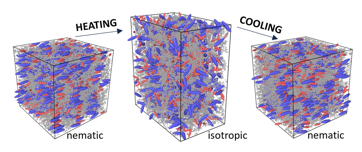 L. Angela Mihai (@langelamihai) on Twitter photo "All-Atom Molecular Dynamics Simulations of Nematic Liquid Crystal Elastomers" with the amazing team led by Haoran Wang <a href="/hao_ran_wang/">Haoran Wang</a> accepted for publication
researchgate.net/publication/37…
#LCE #thermotropic #auxetic #shapememory #phasetransition "All-Atom Molecular Dynamics Simulations of Nematic Liquid Crystal Elastomers" with the amazing team led by Haoran Wang <a href="/hao_ran_wang/">Haoran Wang</a> accepted for publication
researchgate.net/publication/37…
#LCE #thermotropic #auxetic #shapememory #phasetransition
