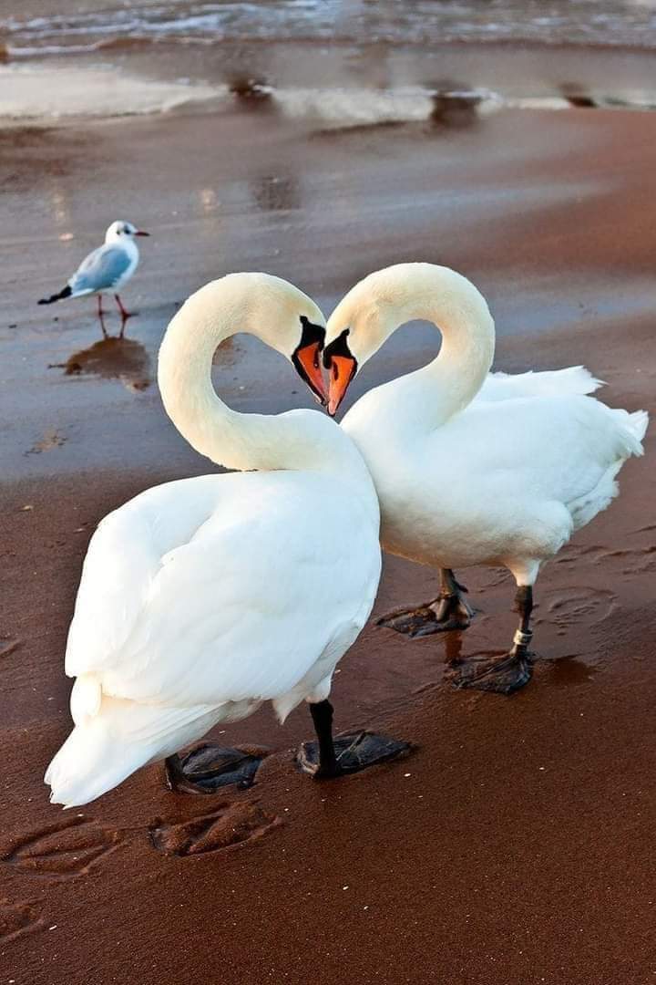 Every contact leaves a mark.