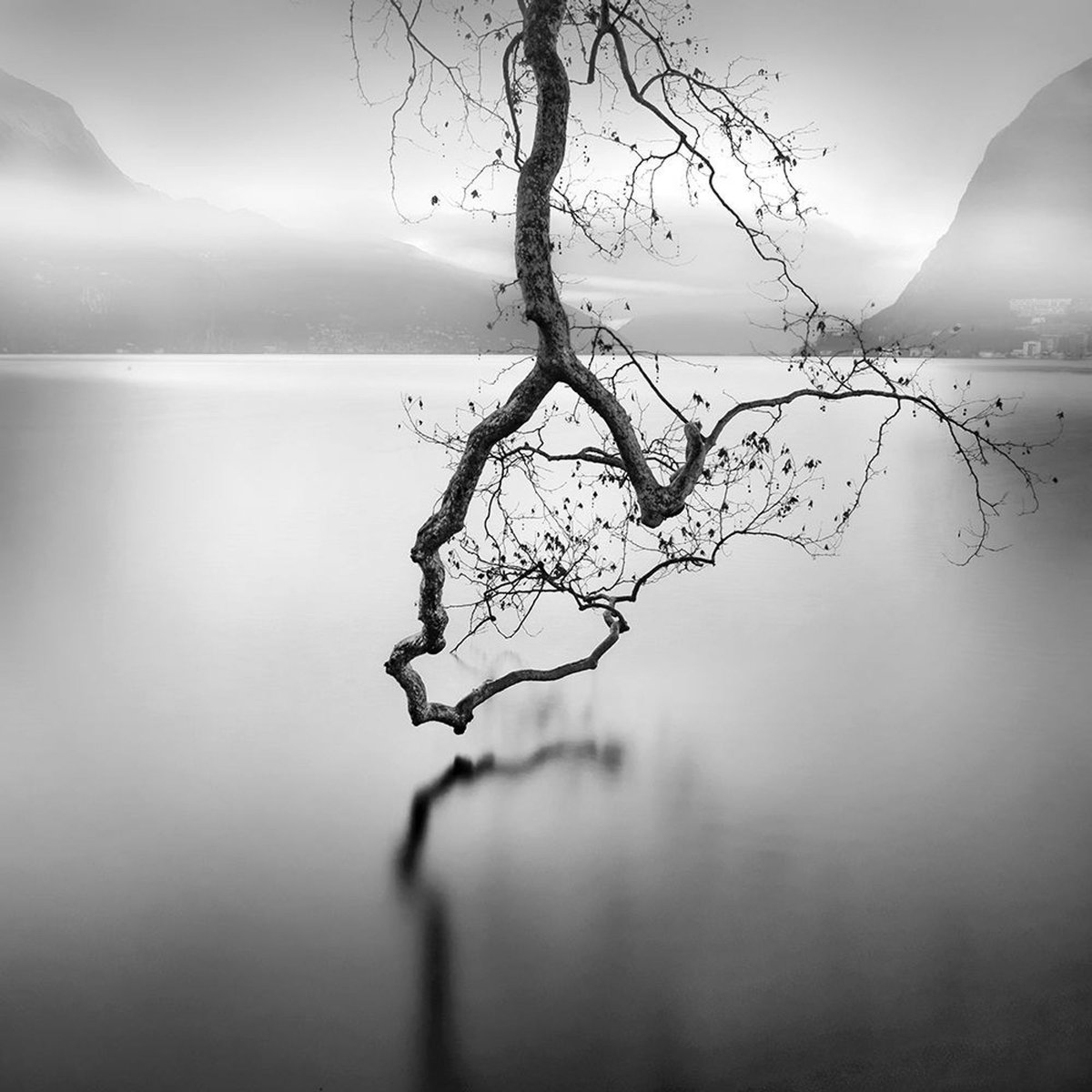 "Your heart is always blessed and favored, you are excused.

You've never known what grief is, you're excused.

I swallowed blood for thousands of nights without you.
You have never spent a single night without you, you are excused."
          --- A. Gazzali

📷 Alberto Bresciani