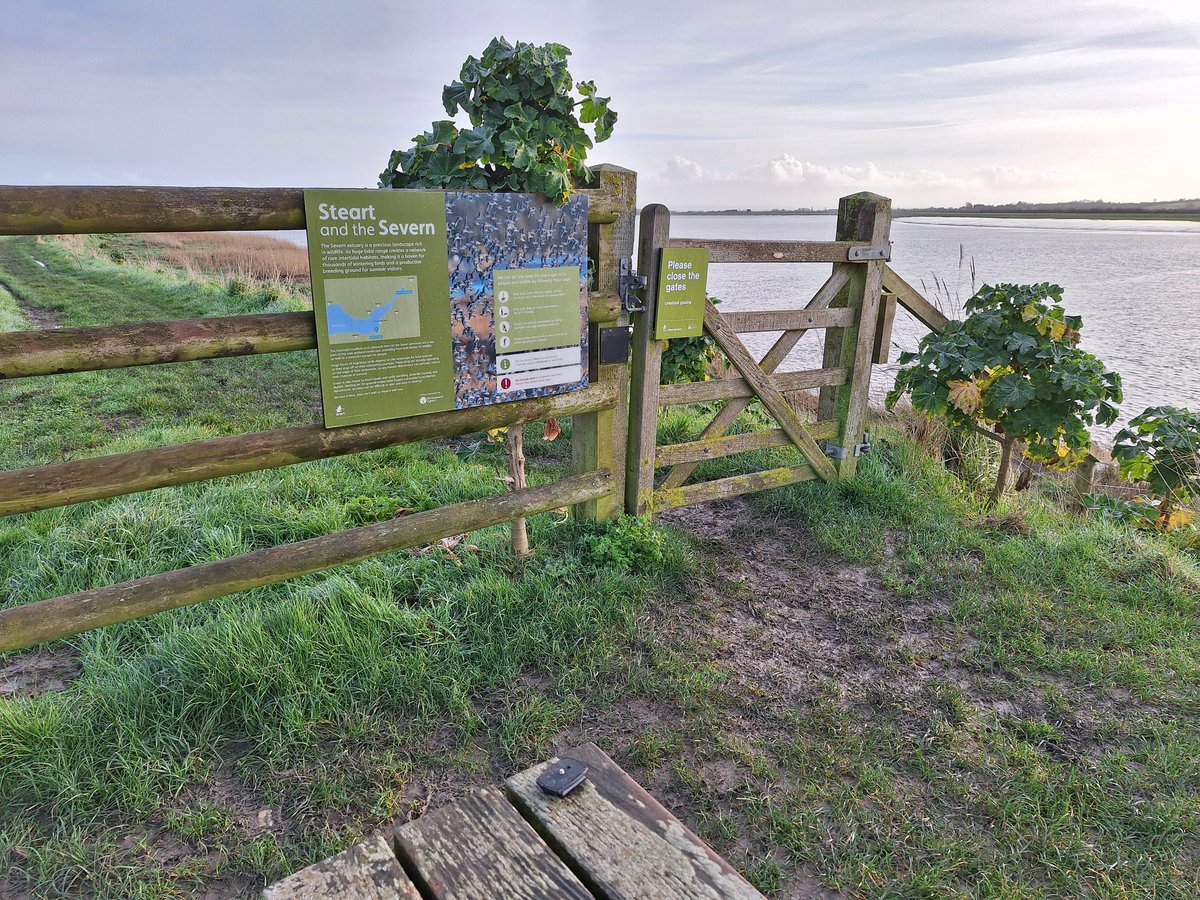 Simon Fairweather (@fatboy_is_slim) on Twitter photo Tripod mount dropped by someone at Steart Marshes. Left on the bench by Parrett Hide. <a href="/WWTSteart/">WWT Steart Marshes</a> Tripod mount dropped by someone at Steart Marshes. Left on the bench by Parrett Hide. <a href="/WWTSteart/">WWT Steart Marshes</a>