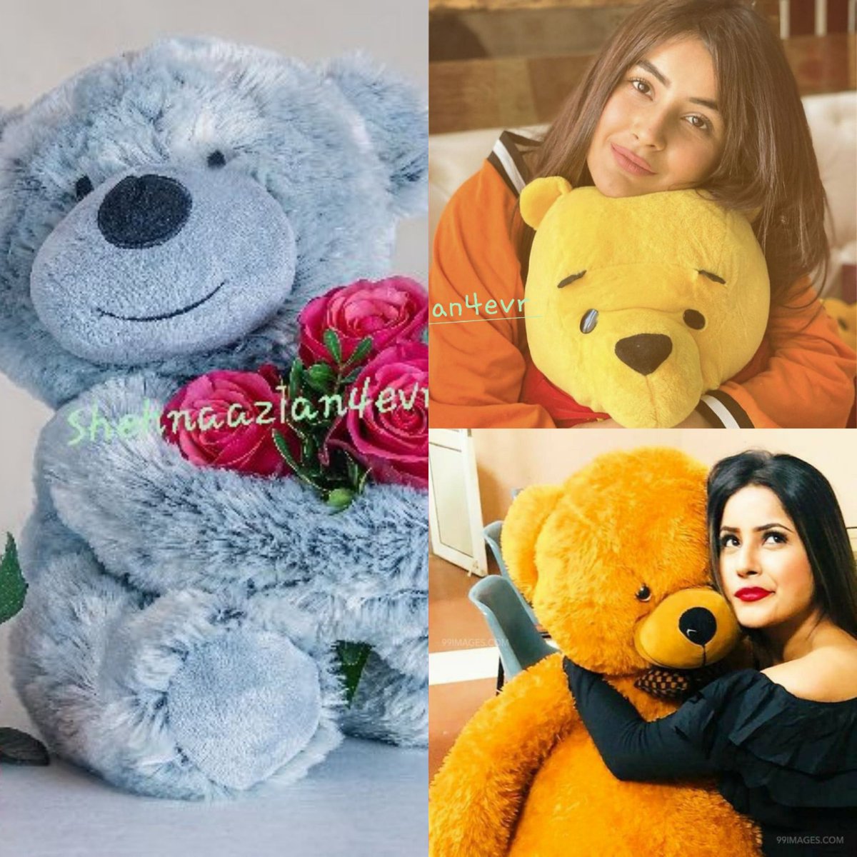 You are my teddy 🧸bub♥#SHEHNAAZGILL #SHEHNAAZIANS #ShehnaazGallery #love #teddyday