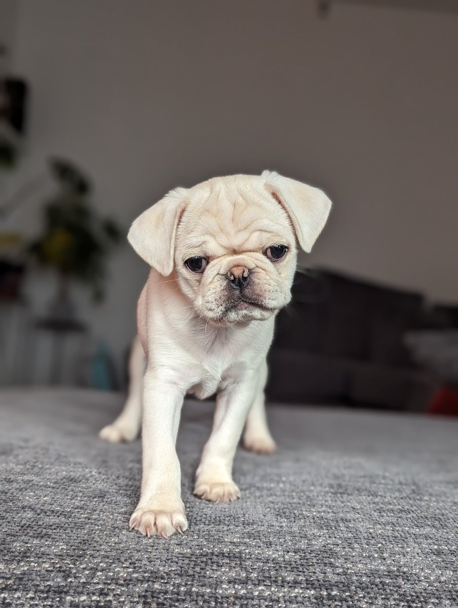 Love you so much Sully ❤️