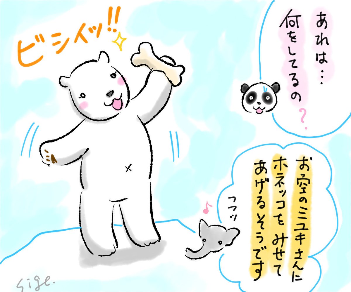 なんだか悲しい気分の時は、かわいいゆめちゃんに癒されましょう