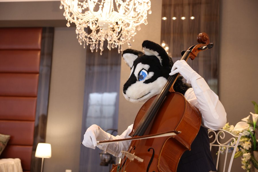 スパイク tweet media