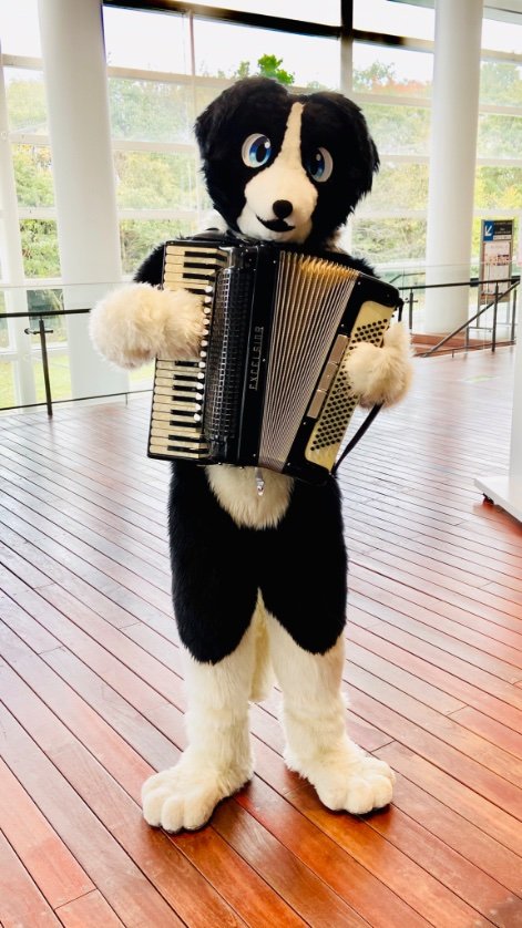 スパイク tweet media