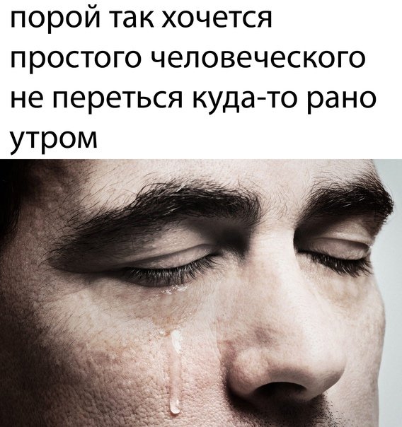 Разве я много прошу?