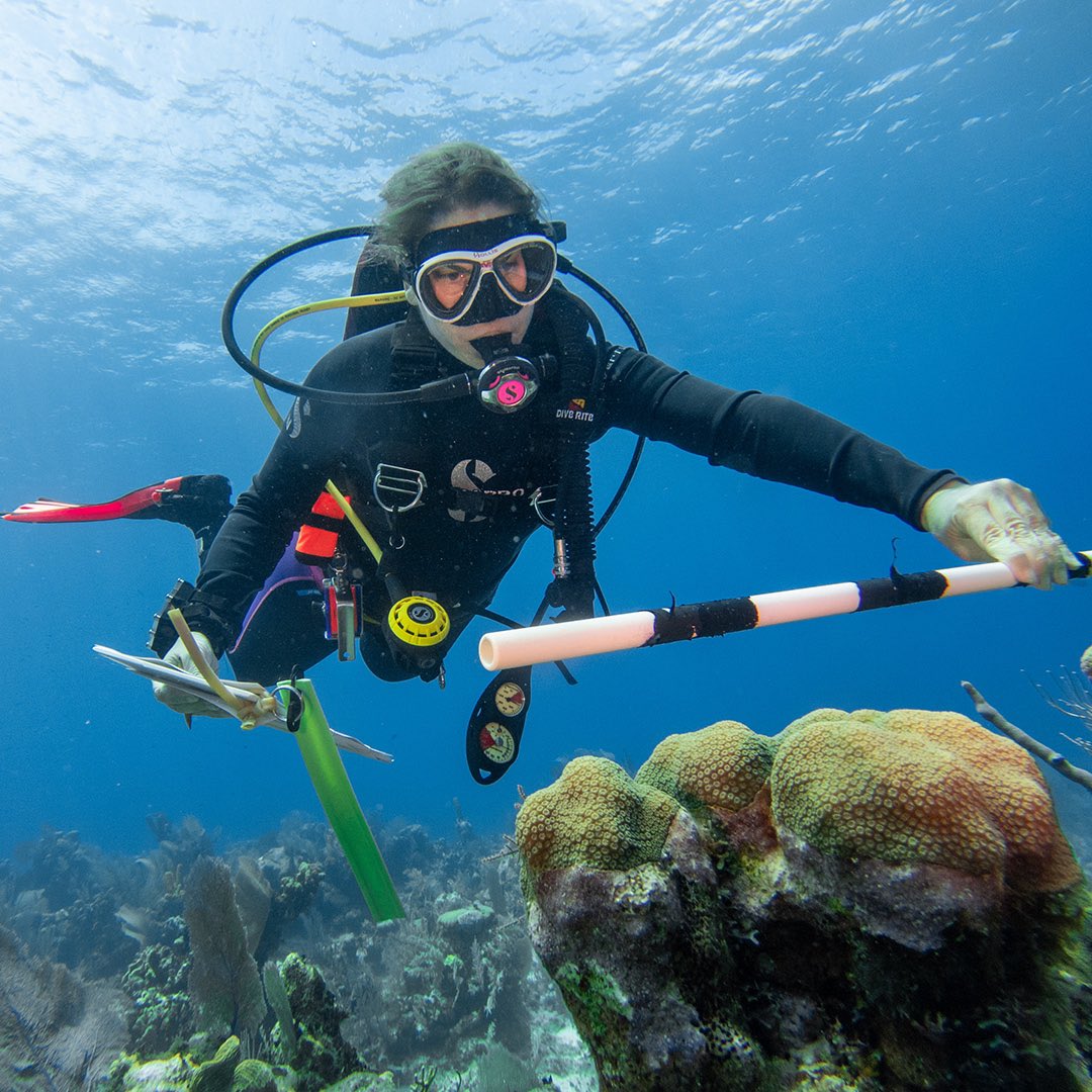 Yachts for Science tweet media