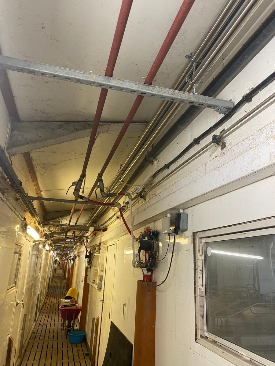 GeotekAgri's tweet photo. A few pictures of a new project we started last week.
A new LPG heating system going in to this recently acquired farrowing house down in Staffordshire 💪.

Got an agricultural building that requires heat? 
Looking to replace an old system?
Want to reduce your energy costs? https://t.co/MvD9wrubel
