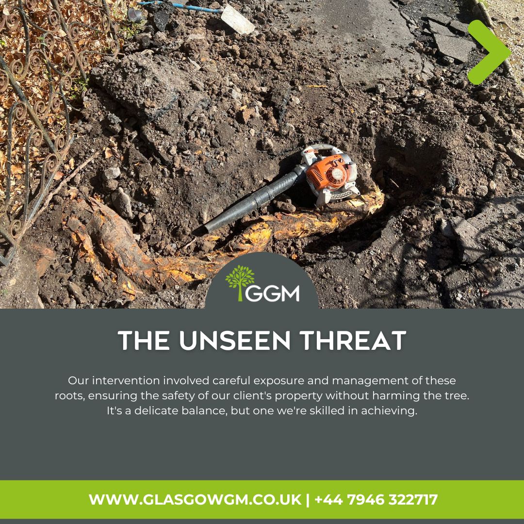 GGMArborists's tweet image. 🚧 Tackling hidden risks in urban landscaping! If you&apos;re concerned about a tree on your property or its potential impact, don&apos;t wait for the signs of damage🌳🚗 Expert solutions for tree health and property safety.  #UrbanTreeCare #SustainableLandscaping