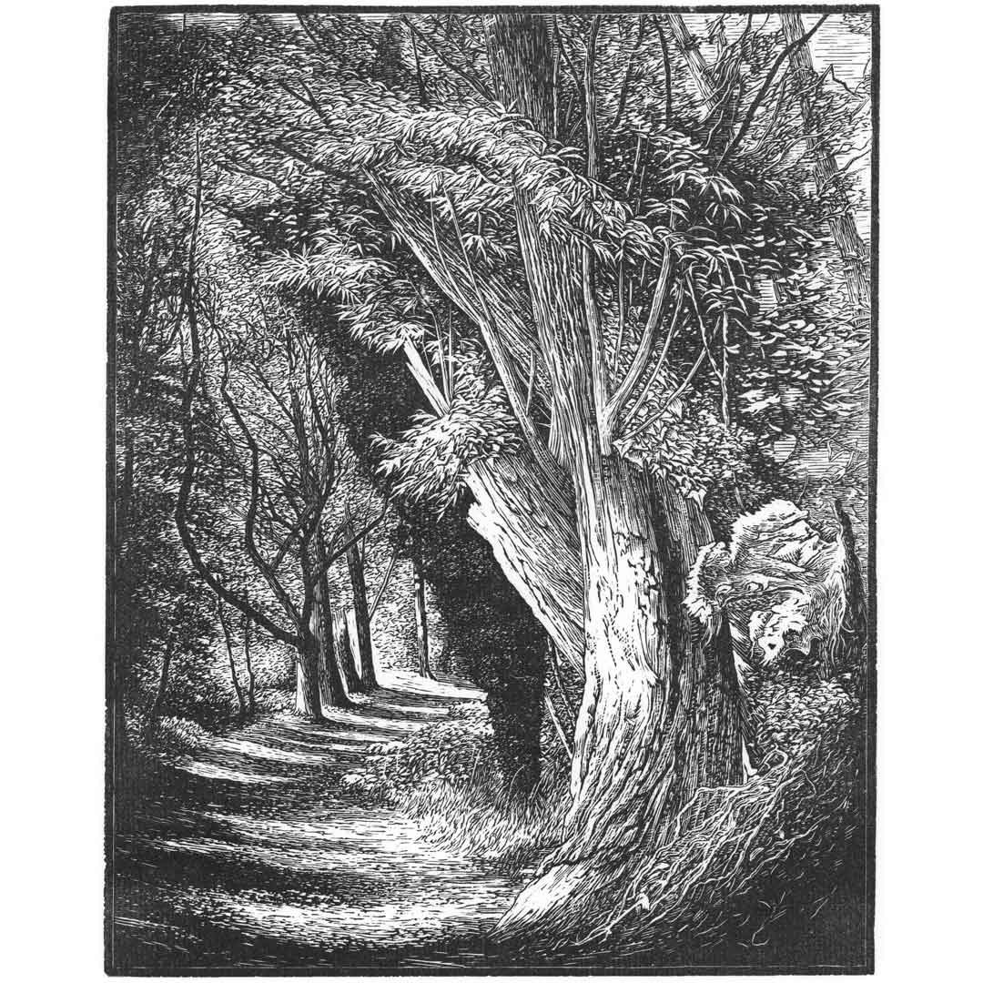 Anthony Dunigan - The Last Stage- available from the SWE website.
The 86th SWE Annual Exhibition opens on 6th February at Bankside Gallery in London, it will tour all this year.
societyofwoodengravers.co.uk
#woodengraving #printmaking