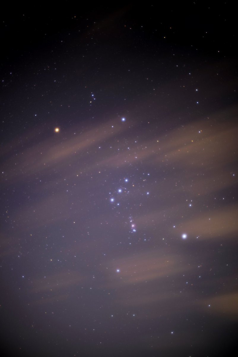 takuya_akiyama's tweet photo. 2024.01.29 18:11 #オリオン座 #Orion
PENTAX K-1/SMC TAKUMAR 50mm F1.4
ISO100,F1.4,露出60秒
#PENTAX #k1
#PENTAXk1
#アストロトレーサー3
#softfilter
#TAKUMAR
晴れてたのに太陽が沈んだらてきめん雲が出てくるんだものなぁ。 https://t.co/7A03rhtcZz