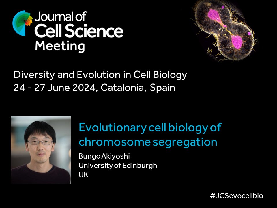 Bungo Akiyoshi @BungoAkiyoshi will be speaking on 'Evolutionary cell biology of chromosome segregation' at our Journal Meeting in Spain this June. Find out more, submit an abstract and register: biologists.com/meetings/jcsev… #JCSevocellbio