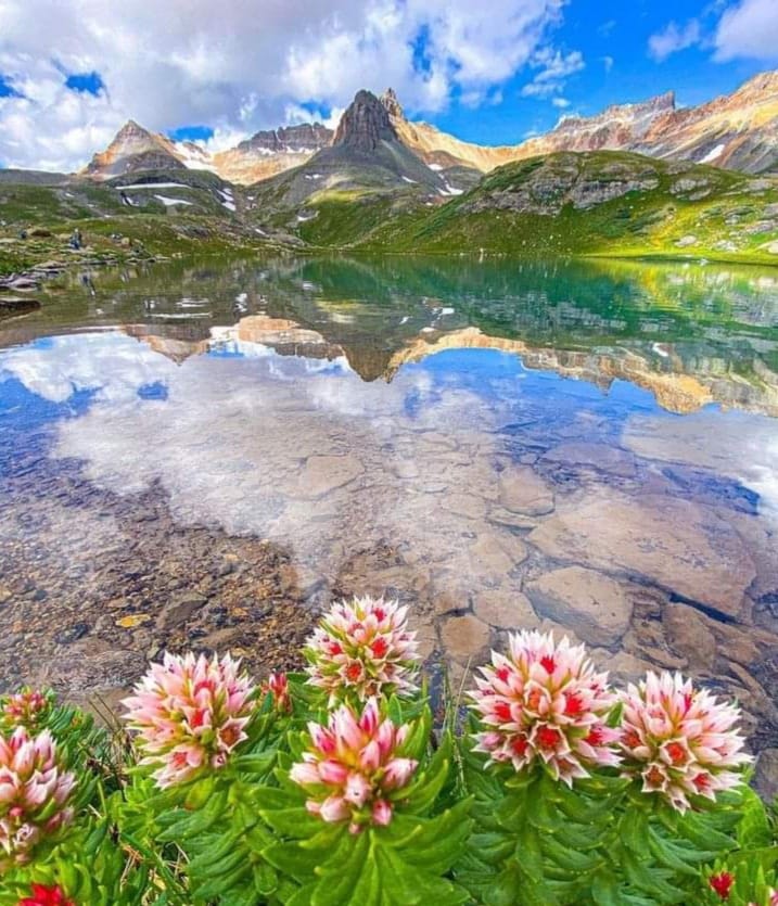 usa_dvlottery's tweet image. The Most Colorful ICE Lake Basin in Silverton, 

Colorado, United States of America 

usadvlottery.org

#icelake #silverton #silvertoncolorado #Nice  #america #unitedstatesofamerica #unitedstate #americana #AmericanHistory #usnews #usa #USAToday #AmericanDream #Colorado