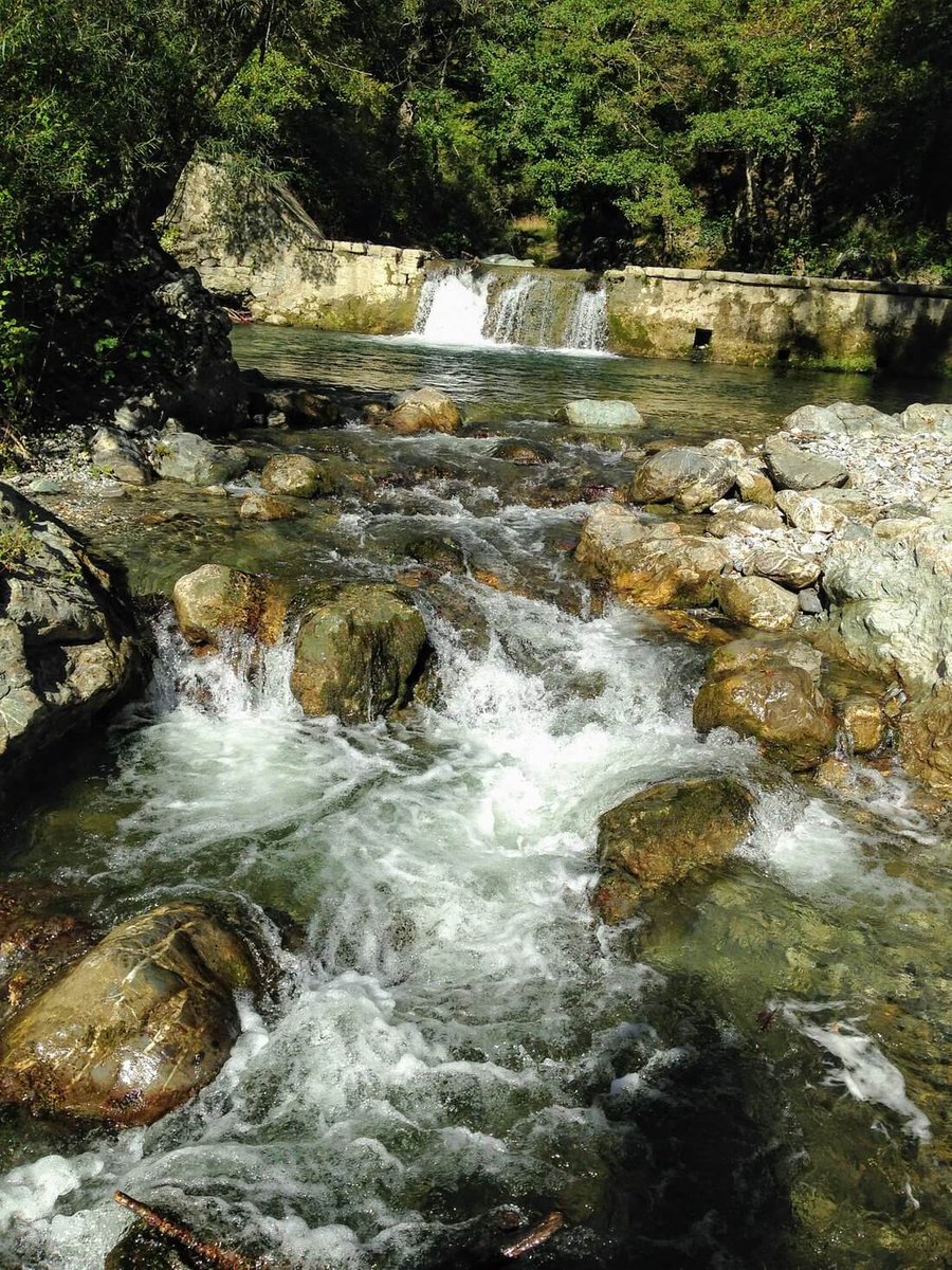 Bosco Magnano, a S. Severino Lucano, è uno dei 75 Geositi del Parco Pollino. E' un bosco di cerri e faggi attraversato dal torrente Peschiera.  
Approfondisci a questo link: isentieridelpollino.it/boschi-parco-p…
Foto: TripAdvisor  
#boscomagnano #sanseverinolucano #geosito #torrentePeschiera