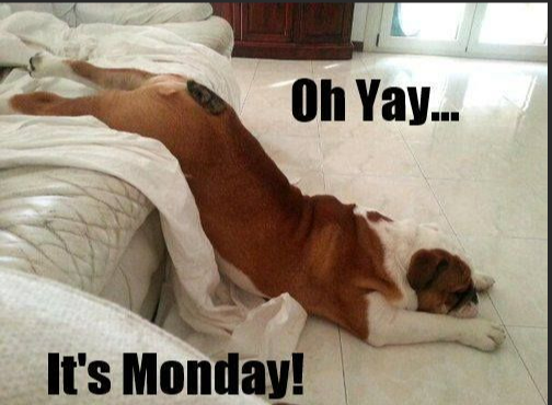 GM Web3 ppl! Have a great Monday!