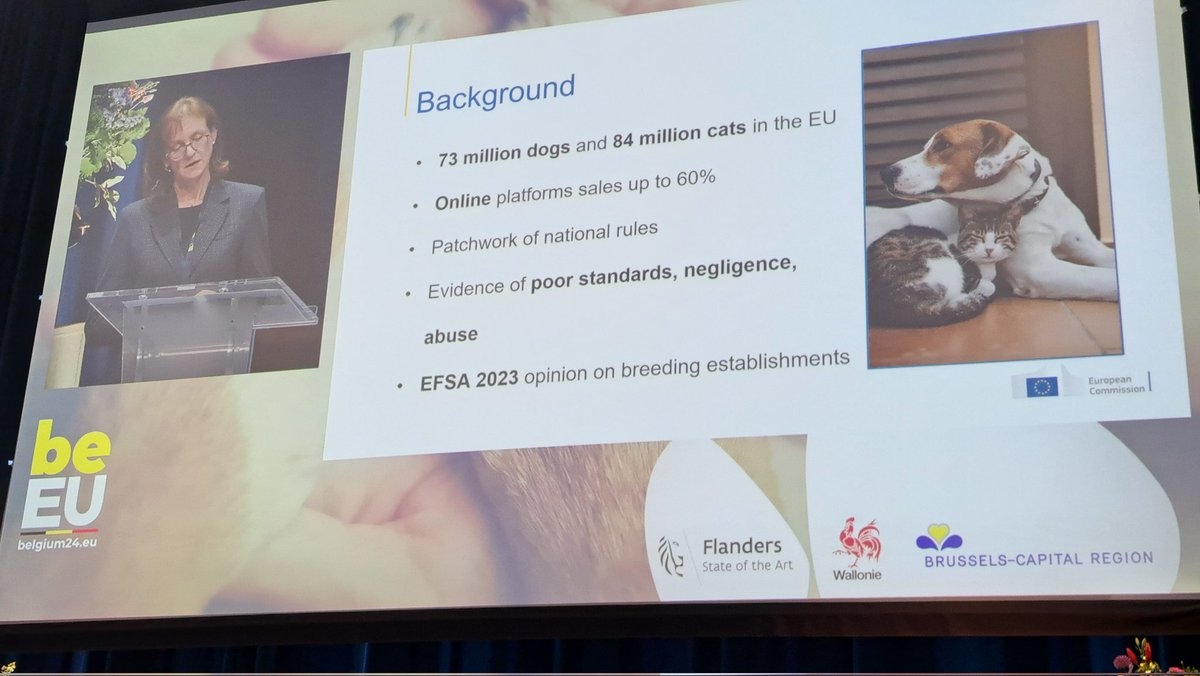 Claire Bury @Food_EU presenting the 🐶&🐱 ##animalwelfare proposal. This proposal is more than just welfare, it will better protect public health with a better registration & traceability, and will fight unscrupulous trade & illegal imports #OneHealth #EU4AnimalWelfare