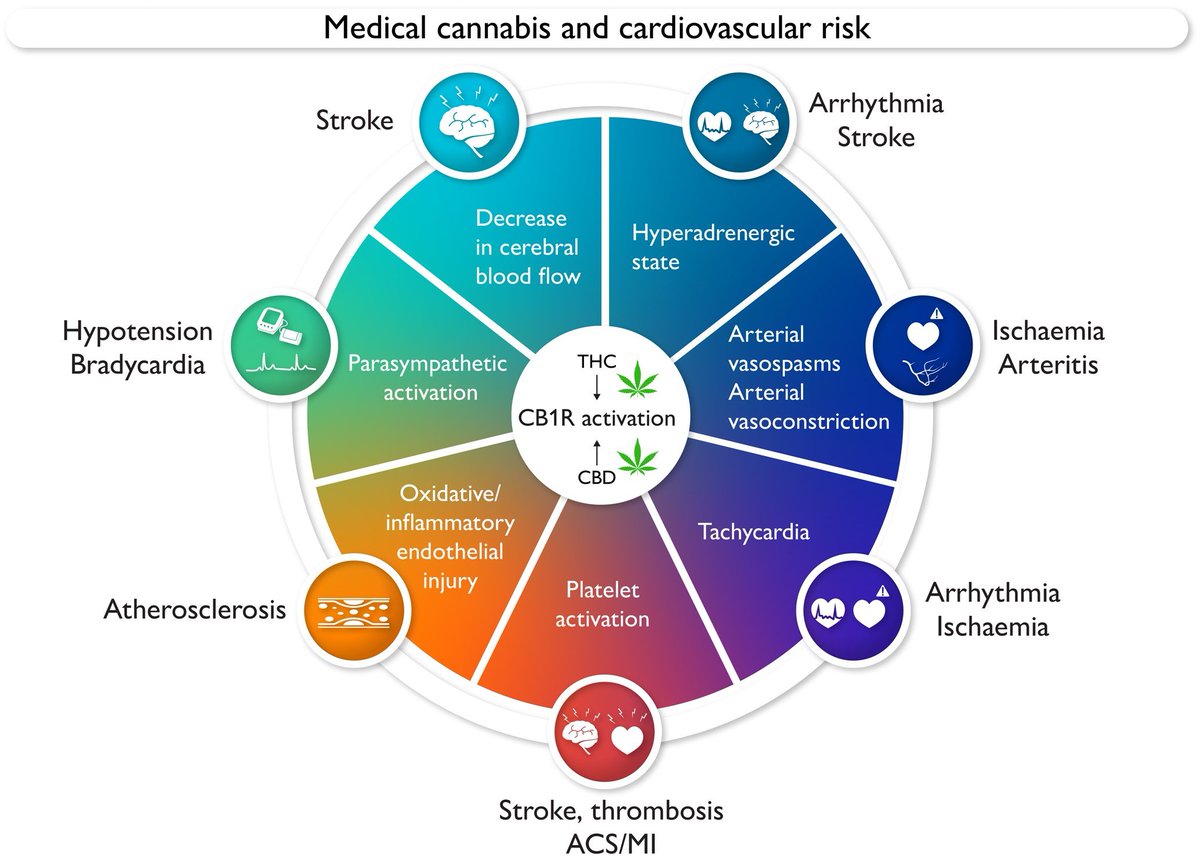 Using THC/cannabis? Think it's harmless? Your cardiovascular system doesn't think so- @ESC_Journals @escardio @johnmuirhealth @carolynlaceymd