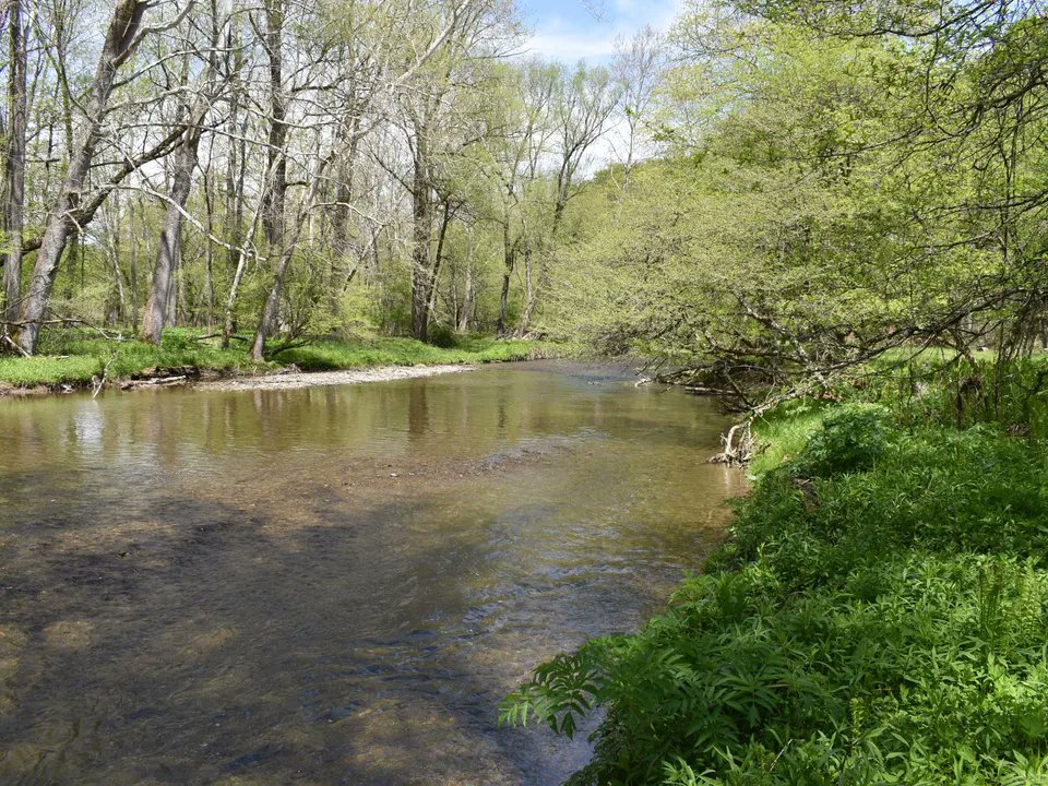 TimberlandReal1's tweet photo. 117.48 Acres for sale in Portageville, New York! This is a fantastic opportunity to own a multi-use property that hasn’t been available for purchase in 79 years. Contact Brian Bullurd (716) 499-5608.

#farms #huntingland #recreationalproperty #creek

https://t.co/FXKC9Tm1Ug https://t.co/sOfWYIzUtk