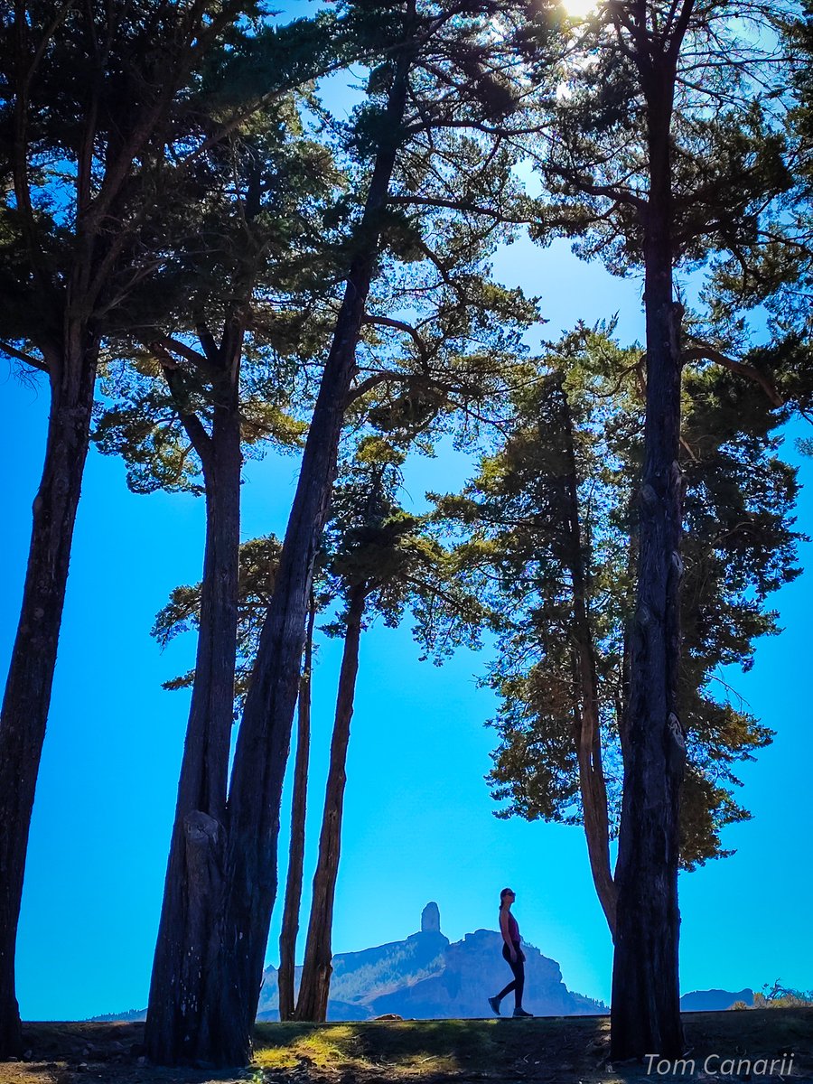 Cada rincón es un descubrimiento ✨