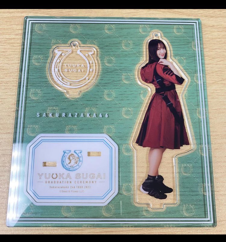 知り合いの古傷が急に疼き出し『菅井友香 卒業コンサート ランダム