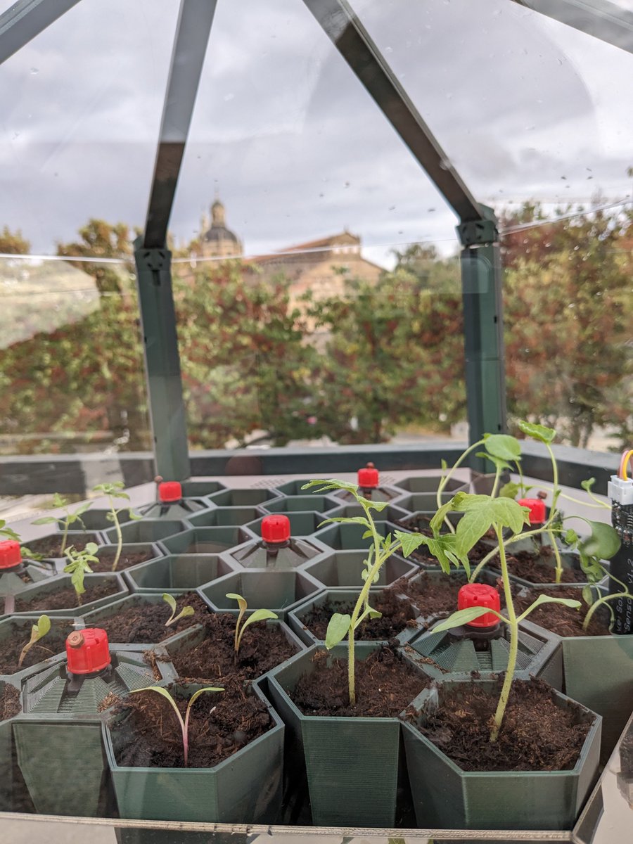 oficinaverde's tweet photo. #SEEDHOUSE es un proyecto innovador de semillero inteligente basado en tecnología IoT diseñado para su uso en actividades educativas y de investigación relacionadas con la agricultura y la botánica 🌱. Conoce más acerca de esta iniciativa en nuestra web 👉 https://t.co/tz503hYsiZ https://t.co/GA7AQDGrK0