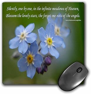 Please choose the auction Forget -Me -Not #alzheimersawareness #alzheimers #dementia #dementiaawareness #alzheimersdisease #alzheimersassociation #alzheimer #alzheimerscare #caregiver #dementiacare #alzheimerscaregiver #alzheimersfight #alzheimerssucks 3drose.com/asp/searchn.as…