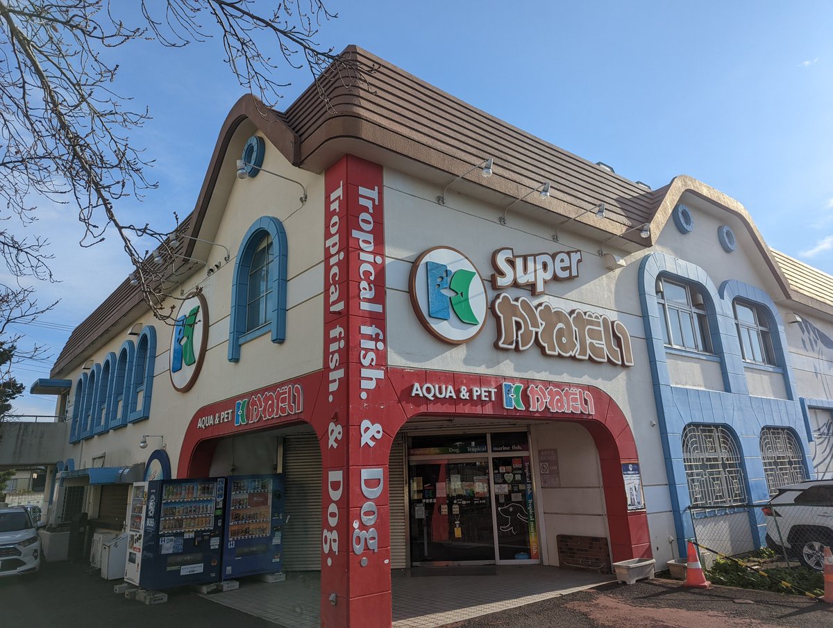 かねだい 伊勢原 店