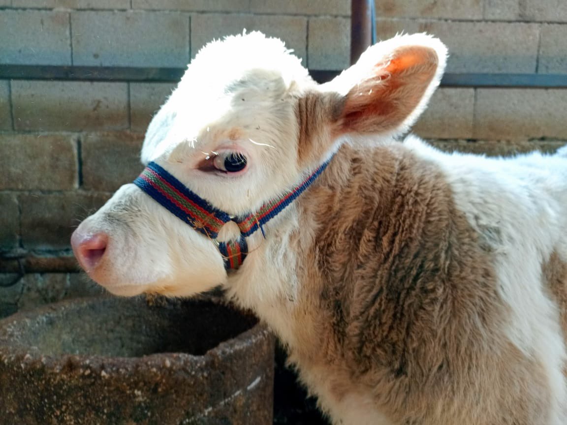 Merhaba Yoldaşsu🥰🥰