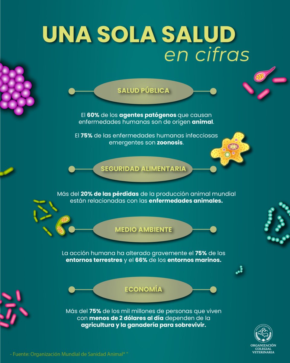 OCV España tweet media