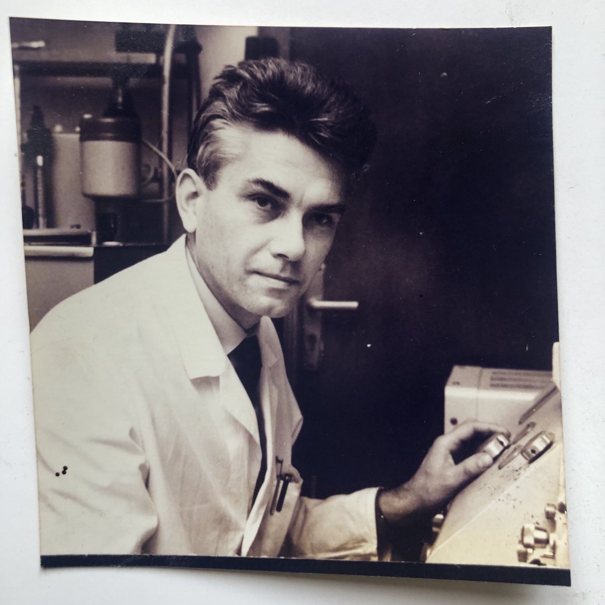 Raquel Erdtmann tweet media