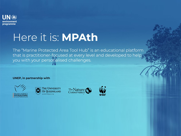 We collaborated with #UNEP and other partners to design and develop MPAth: an educational platform and repository developed to help community practitioners with their personalized challenges.🌊🎓🌎 Explore the project here!📌🔎👇 mpath.unep.org #dataviz #datascience