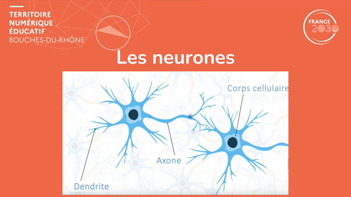 DranePaca's tweet photo. ▶️3ème clip de la série « Comment aider les élèves à mieux apprendre ? »  #CogniClasses #métacognition
Par le groupe acad Sc. Co Aix-Marseille et #tne #France2030 en collab avec @Christophe_Rodo  @BerthierBonfig2

🔗https://t.co/czjDgJoCqt https://t.co/F9QoBEJS1K