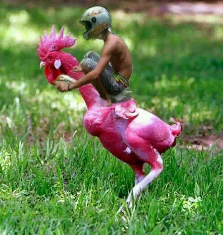 Heycaca tweet media