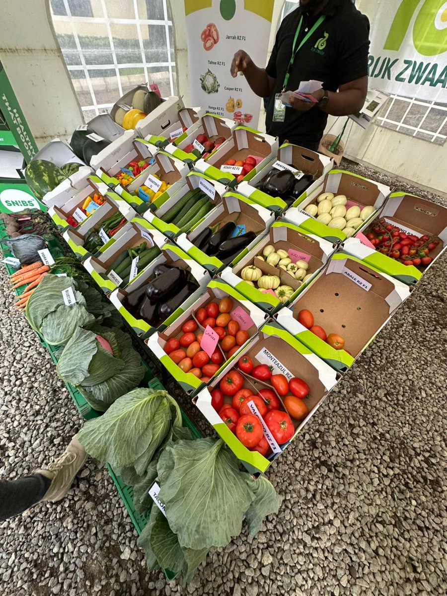 okoreuchenna's tweet photo. The 11th edition of the #RijkZwaanAfrisemFieldday held in #Arusha, Tanzania was a huge success. 
The field day presented the opportunity to share knowledge and ideas amongst partners and growers in Sub-Saharan Africa.
 #Nigeria #RijkZwaan #Vegetables #Farming #Seedforthagro https://t.co/KYiOqyC4pz