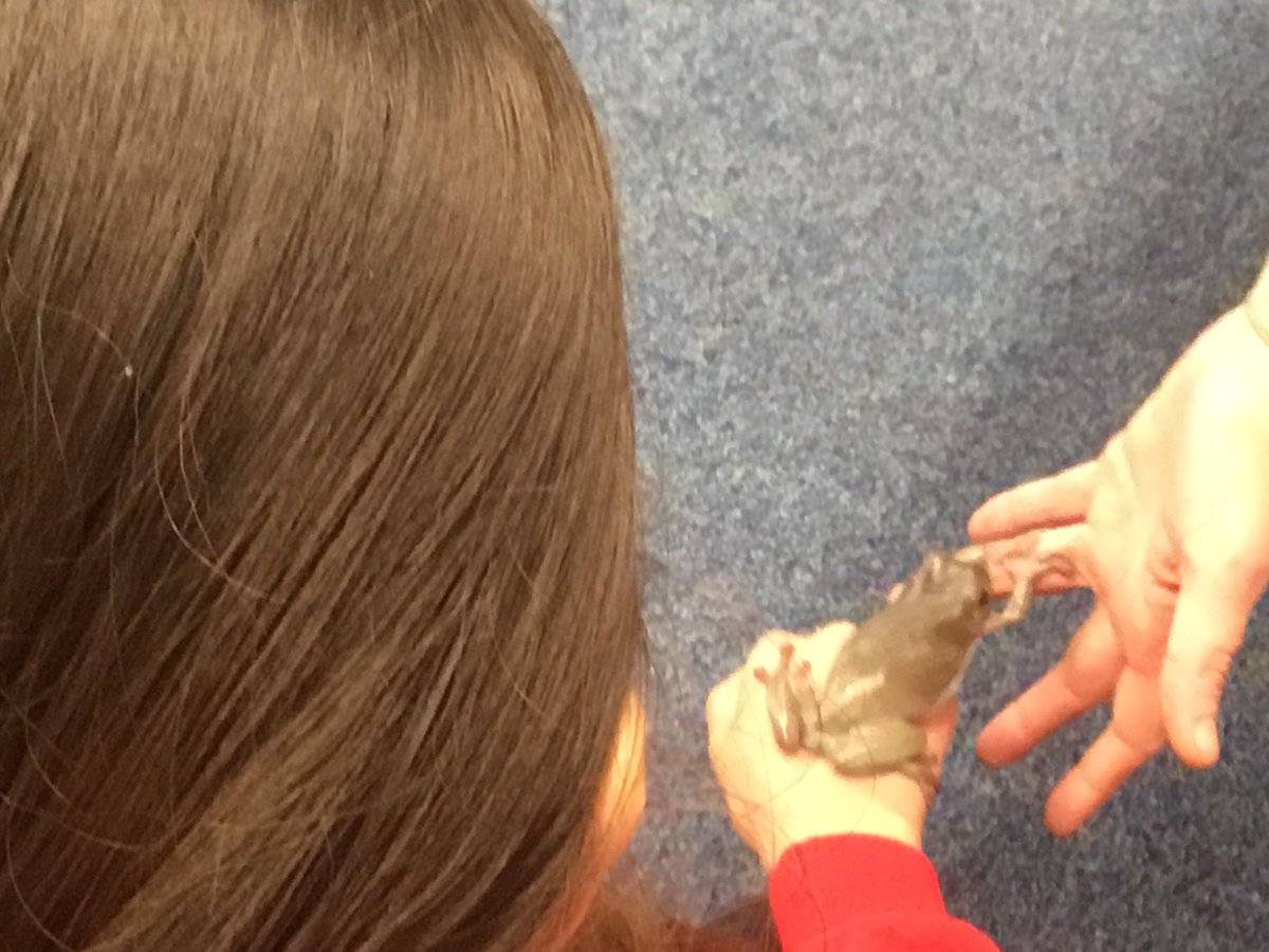 Lots of hands on in our workshop today 🐍🐸🐌 @AnimalsTakeOver thank you Lindsay